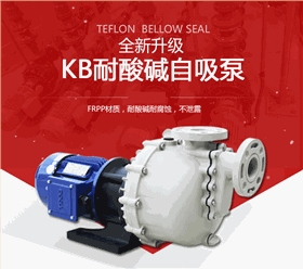 耐腐蚀塑料自吸泵 塑料耐腐蚀自吸泵