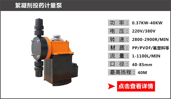絮凝剂投药计量泵 絮凝剂投药计量泵